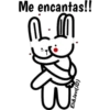 Conejito Romántico 1 18