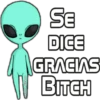 Se
DICE
GRACIAS
W BITCH
@Harley Stickers