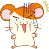Hamster Taro 11
