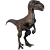 JurassicPark 11
