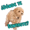 ¿DÓNDE TE
SENTASTE?