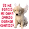 SE ME
PERDIÓ
MI CAMA
¿PUEDO
DORMIR
CONTIGO?