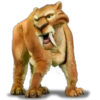 woo