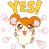 Hamster Taro 12