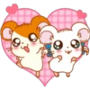 Hamster Taro 13