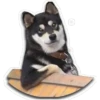 Perritos 21