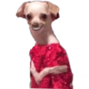 F