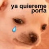 ya quiereme
porfa
RES DELI