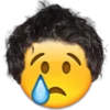 Emoji Pelucas 17