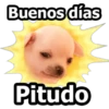 Buenos dias
Pitudo
