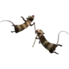 Ice Age 17