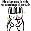 Conejito Romántico 1 24