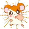 Hamster Taro 15