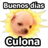 Buenos dias
culona