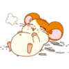 Hamster Taro 16