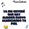Canciones 22