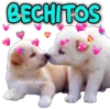 BECHITOS
Lancar