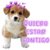 QUIERO
ESTAR
CONTIGO