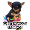 SUBETE VAMOS A
CASARNOS