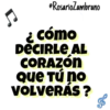 Canciones 23