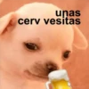 uņas
cerv vesitas
PERITD