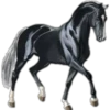 Cavalos 27