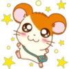 Hamster Taro 17