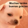 Muchas tardes
buenas gracias