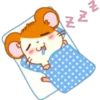 Hamster Taro 19