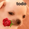 todo
MEMES DEL PER
TO