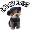 LAAE QUIERESS