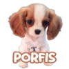 T
PORFIS