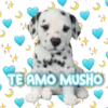 TE AMO MUSHO