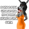 DONDE PISA UNA LEONA no BORRA HUELLA UNA GATA @jos