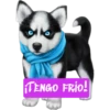 ¡TENGO FRIO!