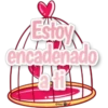 Novio ️ 5