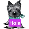 Hola