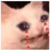 Gatitos con corazones 10