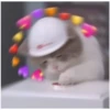 Gatitos con corazones 11