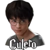 HARRY POTTER 2 8