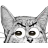 Ojos grandes 8