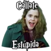 HARRY POTTER 2 9