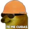 PERRITO CHULO 11