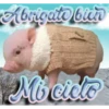 Abrigate bien
Mi cielo