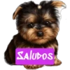 SALUDOS!