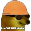 PERRITO CHULO 14