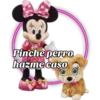 Pinche perro
hazme caso