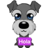 Hola