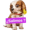*
¿Salimos?