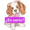 ¿En serio?